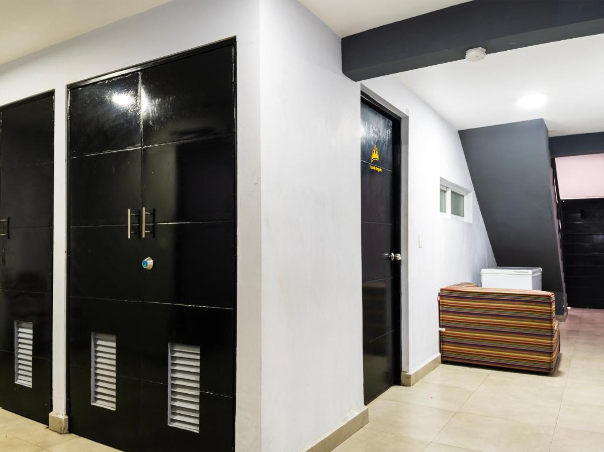 Adhoc Express Hotell Monterrey Exteriör bild